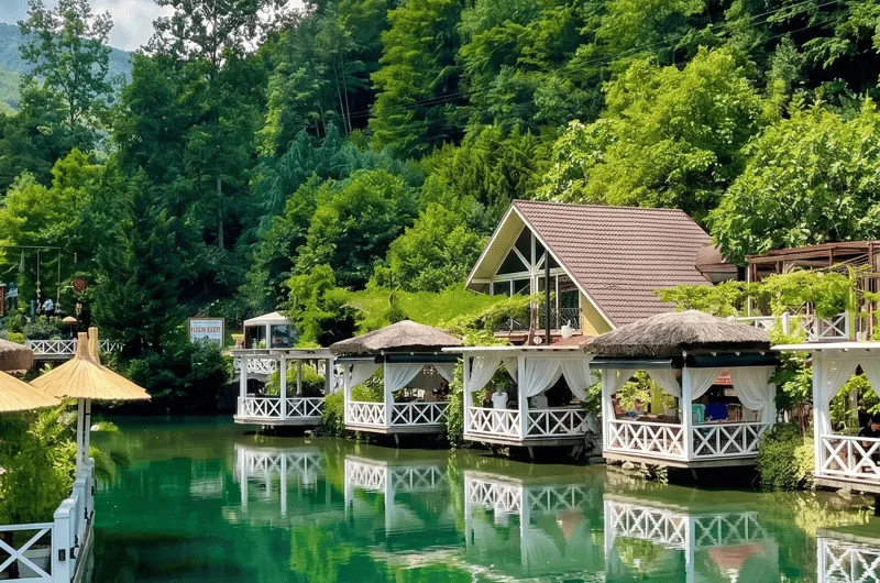 Sapanca kiralık villa